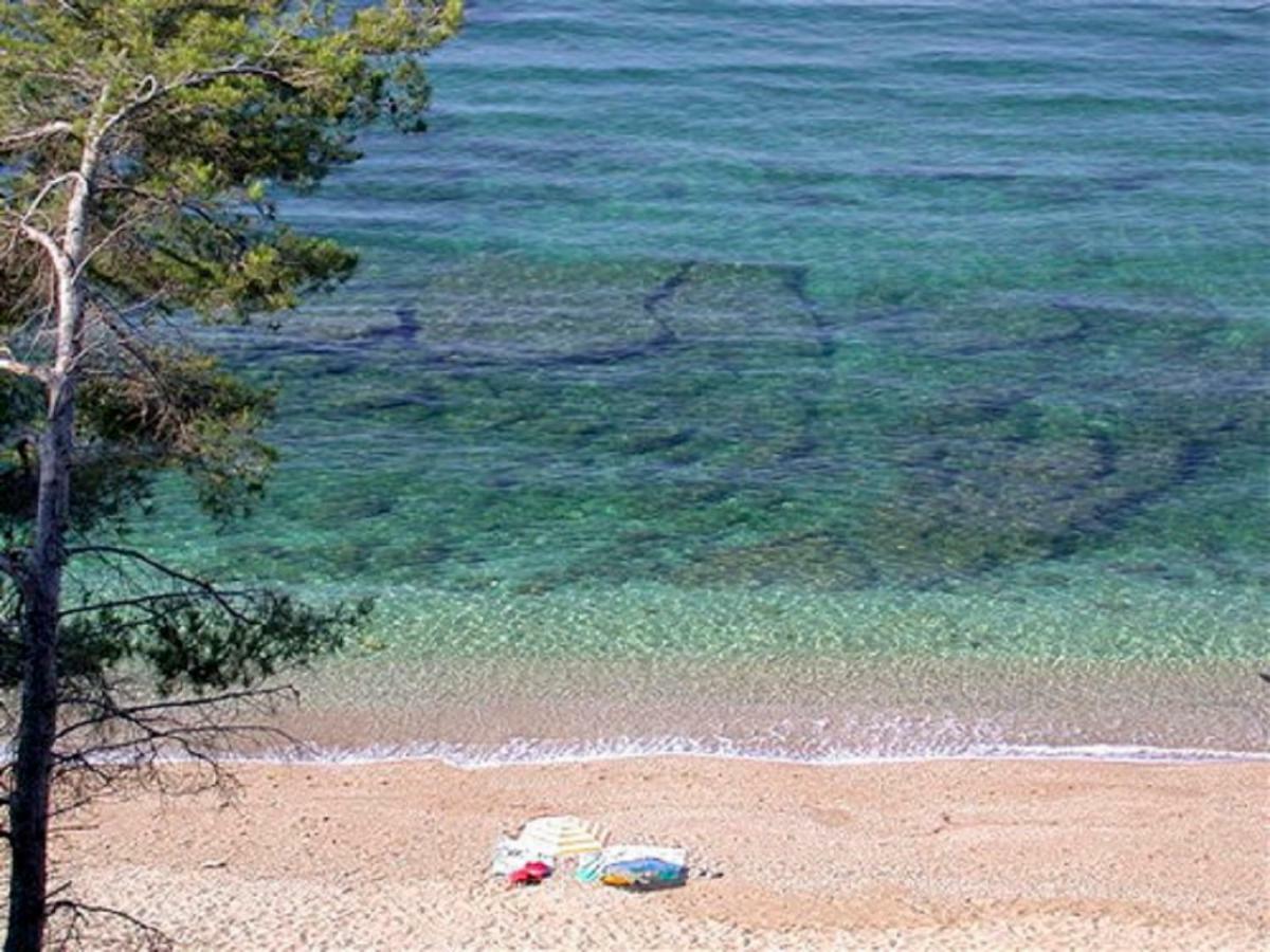 **** Beau T2 De 40 M2, Jardin De 70M2, Au Calme, A 50 Metres De La Plage Le Pradet Kültér fotó